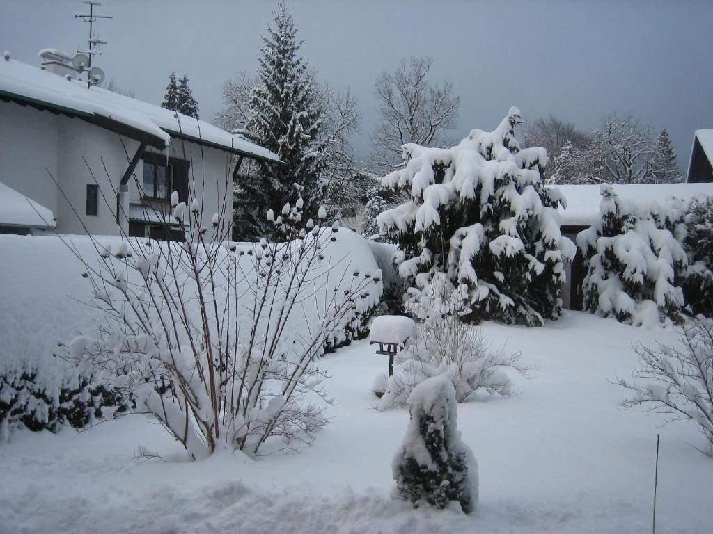 Hotel An Der Sonne & Restaurant Zum Schneiger Schoenwald im Schwarzwald Room photo